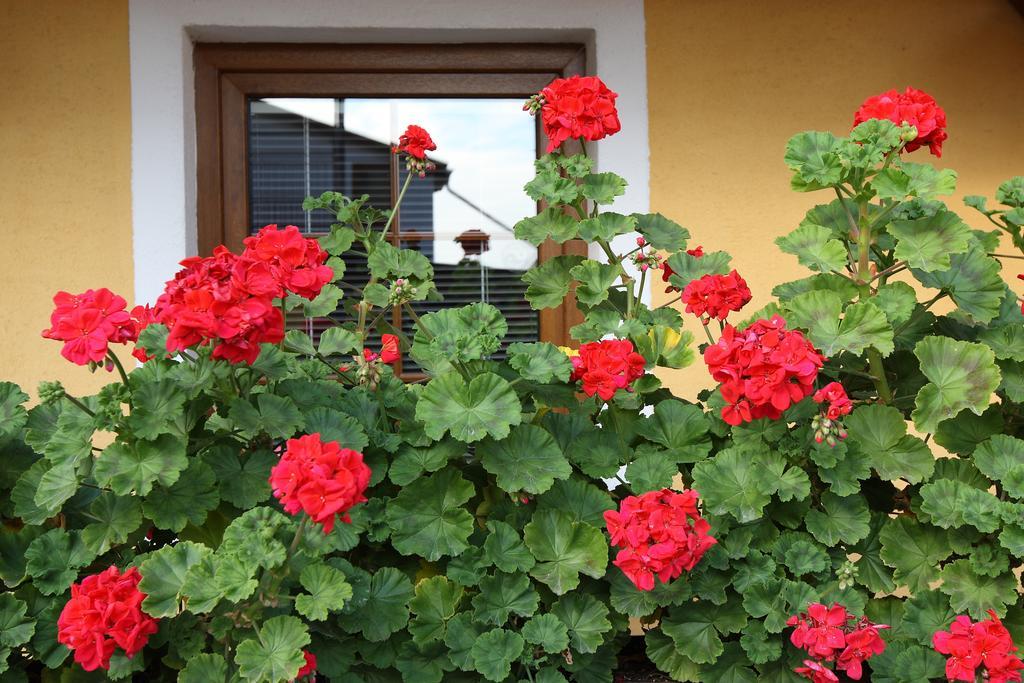 Apartmany Kanianka Bojnice Ruang foto